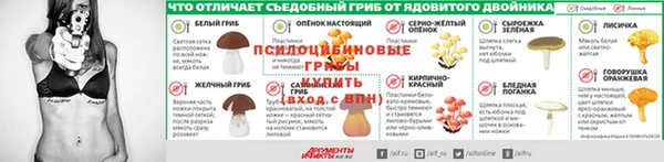 а пвп мука Верхний Тагил